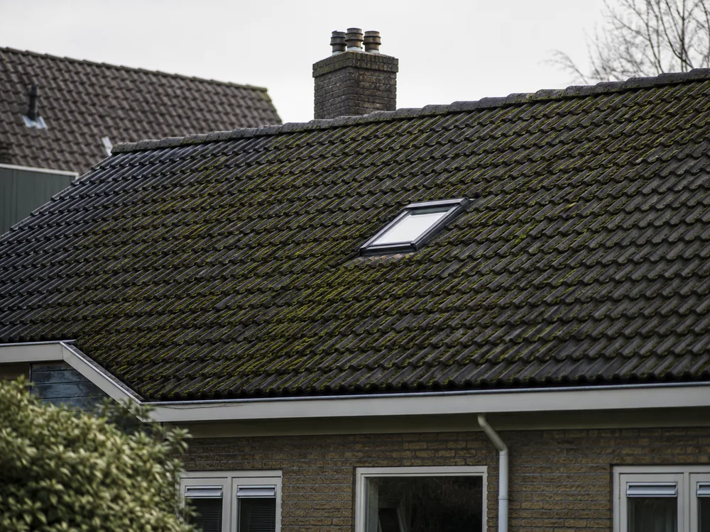 Dakreiniging: dak met mos en aanslag naast hetzelfde dak na de softwash-reiniging, vóór de reiniging